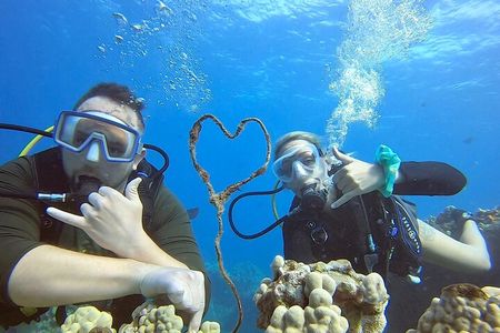 Scuba Refresh Course & Reef Dive Kaanapali