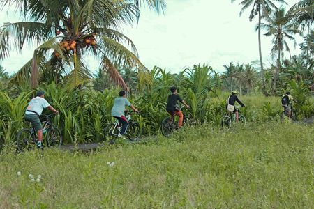 Bali Countryside Eco Cycling Tour include Lunch