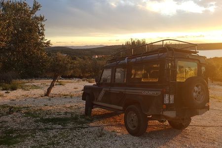 Olive Picking on a Magical Island Brac with Local Professionals