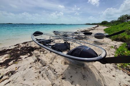 Clear Kayak Mangrove Eco Tour