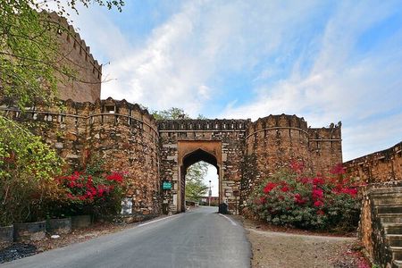 Private Day Trip to Chittorgarh from Udaipur with Guide Option