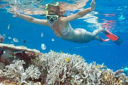 Full-Day Tour in Nusa Penida Island + Snorkeling Experience 