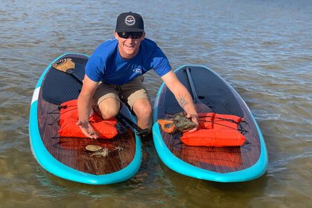 Dolphin and Manatee Tour of Marco Island by Kayak or SUP