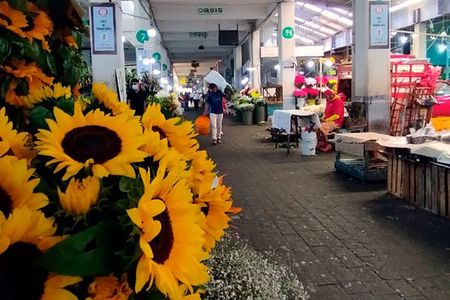 Tortilla Crawl: Food Tour in Mexico City