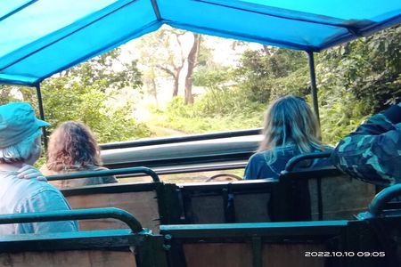 Jeep safari (4-5 hrs., Sharing) inside Chitwan National Park.