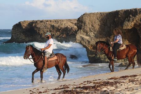 Horseback Riding and Natural Pool Adventure in Aruba