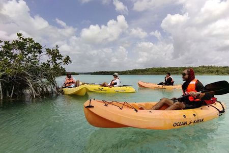 Bacalar Lagoon! Kayaks & Cenote Azul From Playa Del Carmen