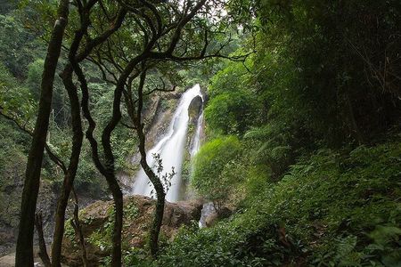 Khaolak Nature & Culture Tour with Lunch