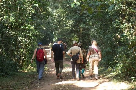 2 Days Gorilla Trekking in Bwindi through Kigali
