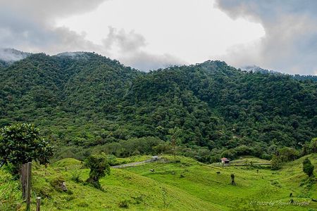 Boquete Panoramic Tour