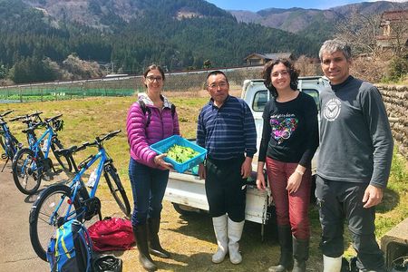 Hida Private E-Bike Tour with Premium Lunch and Farm Experience