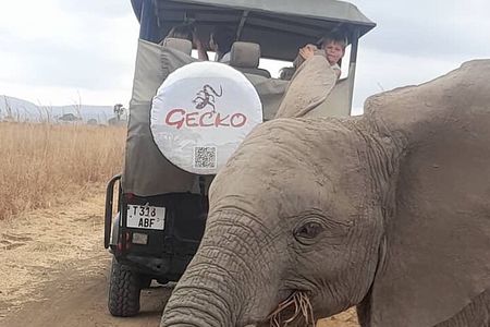 2-Day Selous Game Reserve Tour from Zanzibar