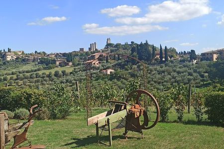 HALF-DAY: Chianti Classic Tour with Wine Experience & visit of San Gimignano