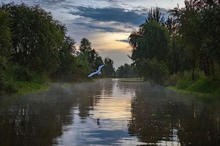 Xochimilco Sunrise from Mexico