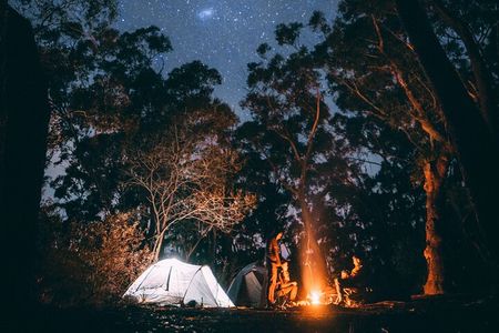 Yosemite Classic Camping Trips