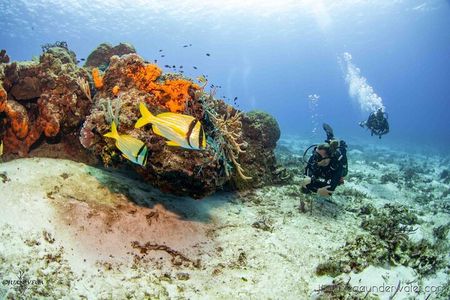 2 Tank Cozumel Reef Boat Dives