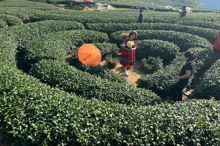 Mai Chau-Moc Chau 4 Day Tour with Glass Bridge -Guinness World Records