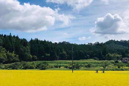 Hiroshima Country Cycling: Explore Rural Life 1 HR from City