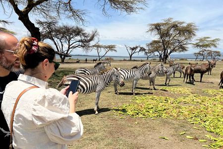 Day Tour to Crescent Island in Naivasha