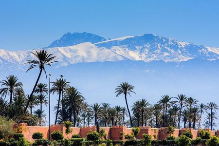 Full-Day Group Trip to Marrakech from Agadir