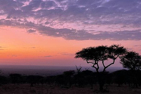 Big Five Dream Safari
