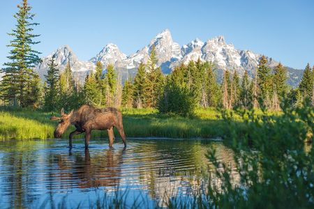 Private Grand Teton Adventure