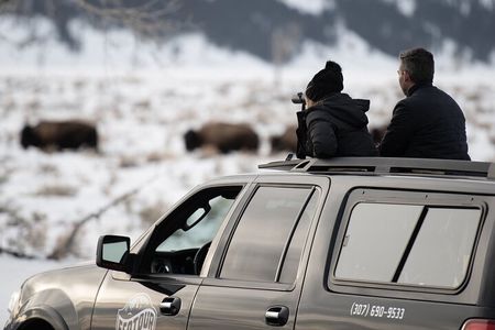 Combination Snowshoe & Wildlife Viewing