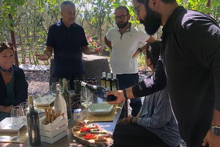 From Syracuse: Trekking on Etna with Wine Tasting & Light Lunch