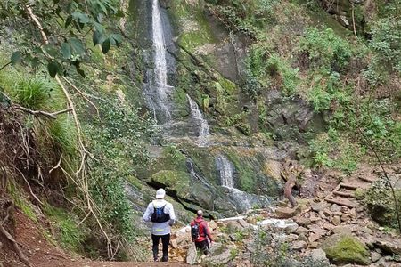 Incredible Table Mountain Guided Day Hike or Trail Run
