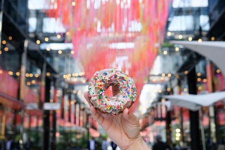 Washington DC Delicious Donut Adventure