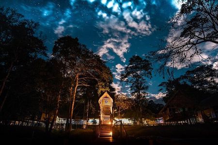 3-Day Iquitos Jungle Adventure at Muyuna Lodge