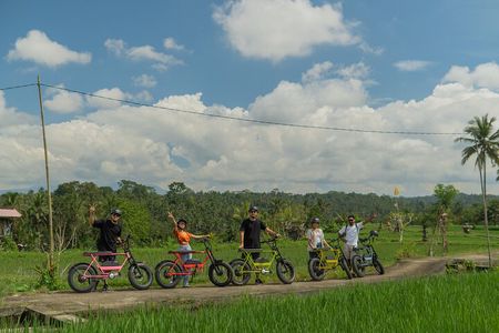 Half-Day Electric Fat Bike Tour of Ubud 