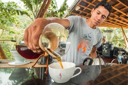 From Seed to Cup - Coffee Experience at La Palma y El Tucan