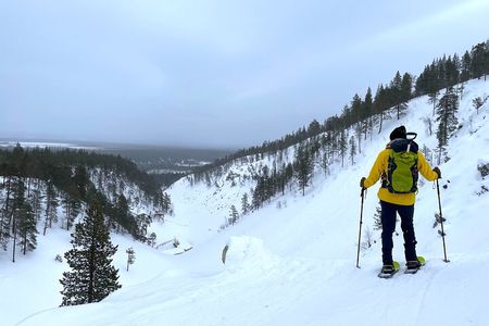 Guided Snowshoeing Tour In Pyhätunturi