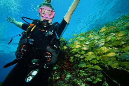 Two Reefs For Certified Divers in Cancun