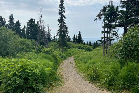 Chugach State Park Nature Walk