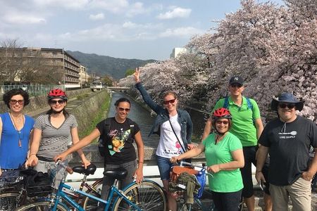 Visit beautiful Zen Gardens on a bike tour!