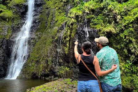 Private TAHITI Half Day Circle Island Tour (Departs 8am or 1pm)