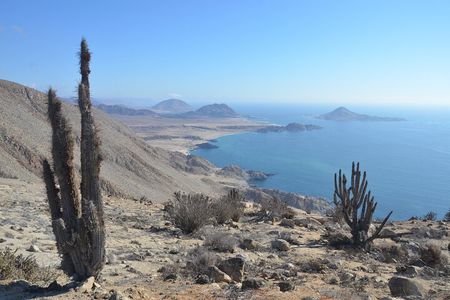 Costa DE Desierto Atacama : La Serena-Llanos del Challe-Pan de Azucar