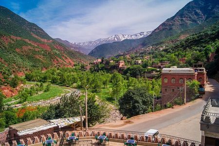 Cooking class with Berber Family and camel rides 