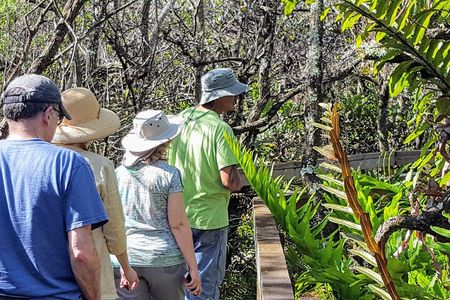 10,000 Islands Boat Tour + Naturalist Led Walk in the Everglades!