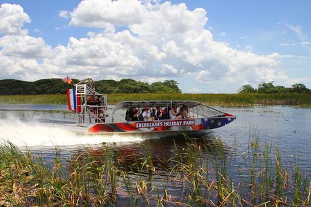 Panoramic Open-Top City Tour and Sightseeing Cruise