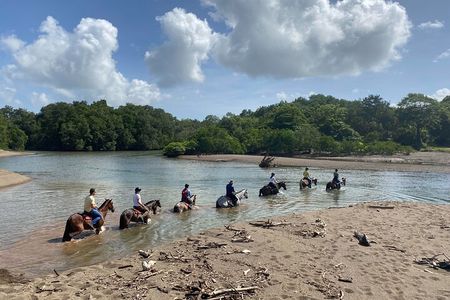 2h 1/2 HORSEBACK RIDING TOUR