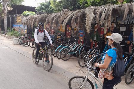 Soweto Bicycle Tour and Apartheid Museum 