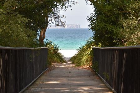 Jervis Bay Tour with Dolphins, Kangaroos & World's Whitest Beach