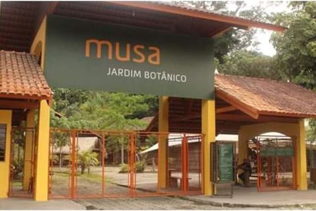 Private Tour at Musa (Botanical Garden, Amazon Museum)
