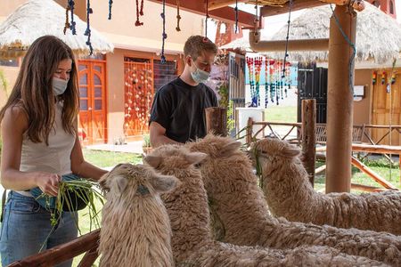 From Cusco: Sacred valley and Moray salt Mines