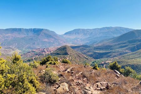Atlas private day tour and Berber experience