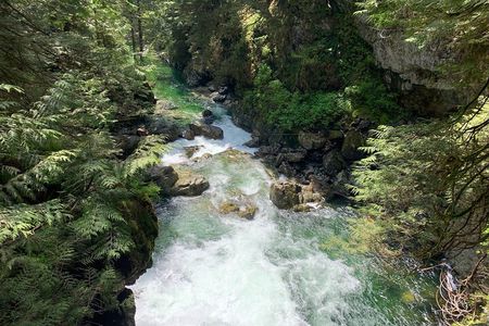 Vancouver Rainforest Hike with Waterfalls, Suspension Bridge, Old Growth Forest