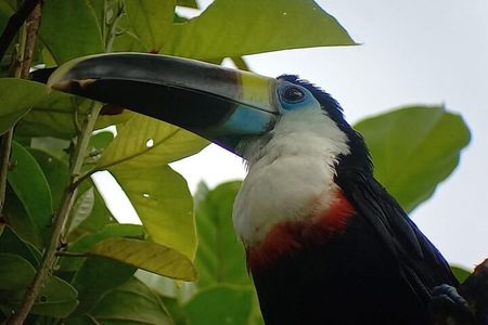 3-Day Eco-Sustainable Private Tour Manu National Park